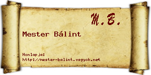 Mester Bálint névjegykártya